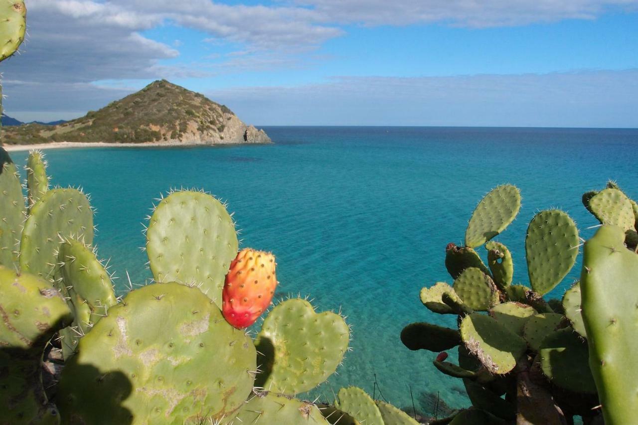 코스타 레이 Casa Casciu La Collina Sul Mare 빌라 외부 사진